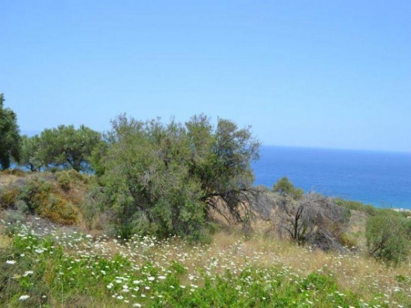 Mochlos Kreta, Mochlos: Baugrundstück mit Meerblick zu verkaufen Grundstück kaufen